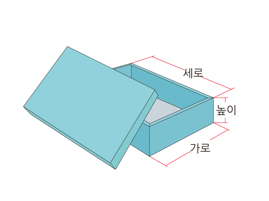 ¹Ú½º ŸÀÔ