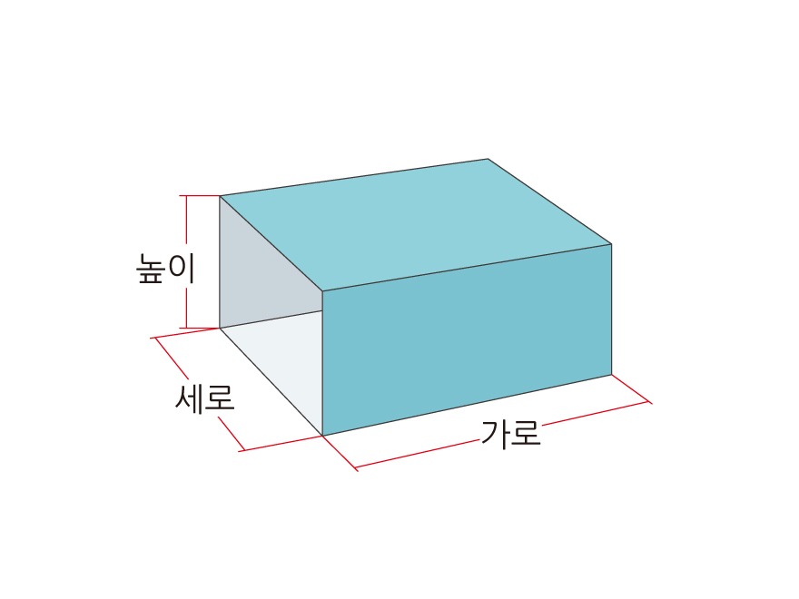 ¹Ú½º ŸÀÔ